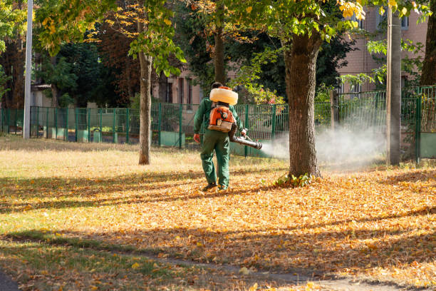 Best Termite Control Services  in Lliams Bay, WI