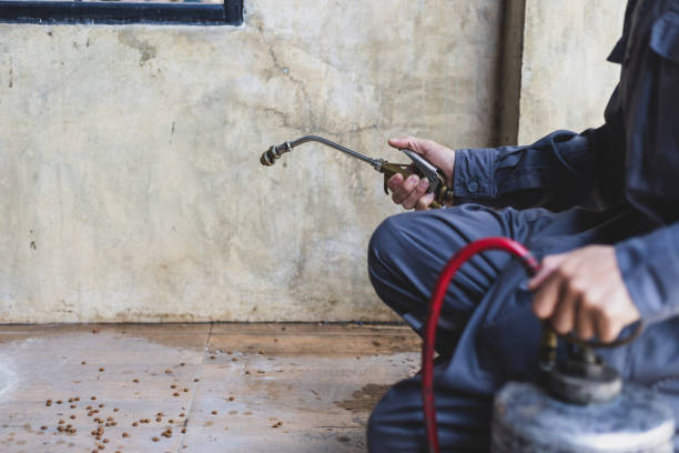 Pest Control for Restaurants in Williams Bay, WI